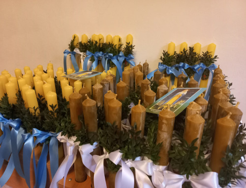 IV Niedziela zwykła – 1.02.2026.